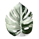 Jumping Spider Plant Toy - Realistic Pet Accessory with Suction Cup, Spider House Decor for Terrarium, Interactive Pet Supply, Sturdy Toy with Fun Movement, Arachnid Plant for Enrichment and Play