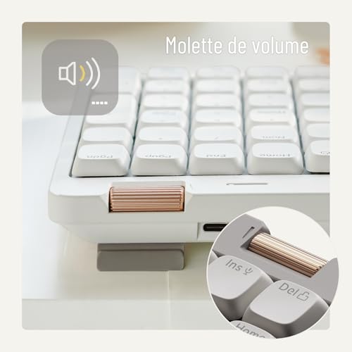 LOFREE Clavier mécanique Flow Lite84 Touches sans Fil Rechargeable Interchangeable avec récepteur2.4G, Connexion BT et Filaire pour Windows Mac Interrupteurs linéaires(Marble) Disposition FR – vue 8