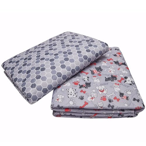 Caldwell's Pet Supply Co. 20x30 Washable Pee Pads for Dogs, Reusable Pee Pad for Dogs, Puppy Potty Mat, Whelping Rug, Reusable Puppy Mat, Waterproof Rug for Dog of All Breeds, Small (Set of 2)