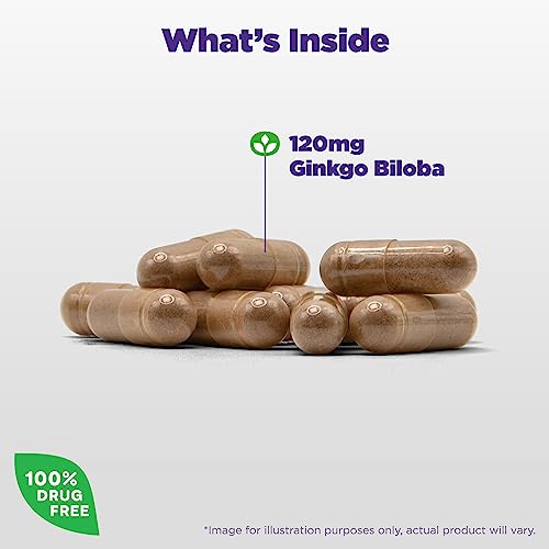 Natrol Ginkgo Biloba 120Mg Capsules, 60 Count #TOP4
