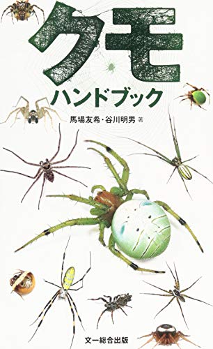 日本のクモ 昆虫MANIAC展 徹底レポート4 ときてっと TOKITETO