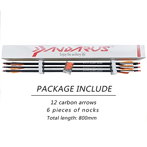 Pandarus Archery 28Inch Carbon Practice Hunting Arrows With Removable For Youth Compound & Recurve Bow Target Pack Of 12 (Orange) #TOP6