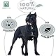 MENFORSAN Schwarzes Shampoo für Hunde | Farbintensivierer | Glanzverstärker | Entfernt Orangetöne | Tiefgehende Feuchtigkeitspflege | 1L
