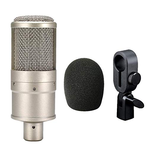 Micro de studio pour karaoké à la maison et diffusion en direct sur ordinateur