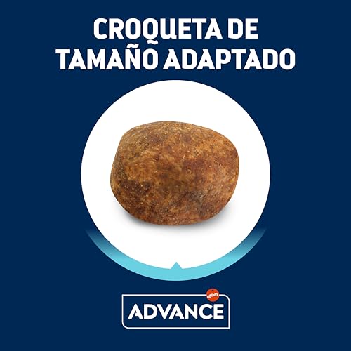 Advance – Pienso para perros adultos Labrador y Golden Retriever Advanced Active Defense pavo y arroz 11,5 kg.