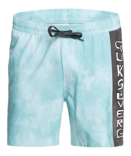 Quiksilver Men's Standard Sun Faded Volley 17 Swim Trunk Boardshort