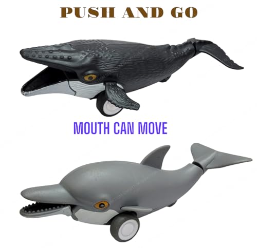 Image of SHAKTISM Ocean Life Pull Back Marine Animals Toy Featuring Megalodon, Orca, Dolphin and Humpback Whale Random Colour Dispatch 2Pc