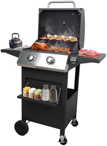 2 Burners Portable BBQ Gas Grill, 20000 BTU Small Camping Barbecu...