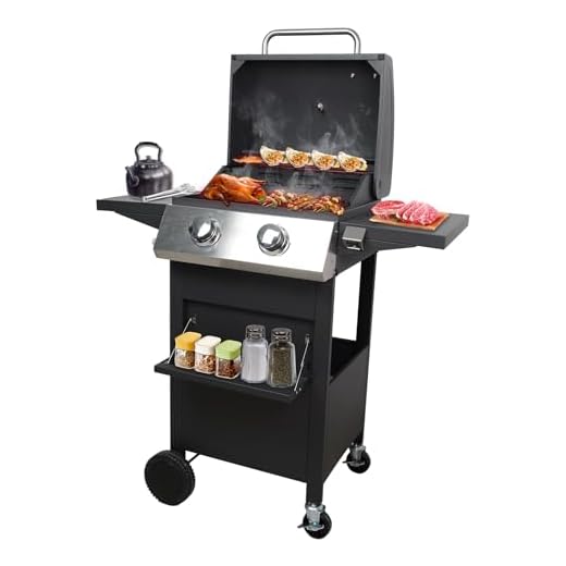 2 Burners Portable BBQ Gas Grill, 20000 BTU Small Camping Barbecue Propane Grills Outdoor Cooking, Built-in Thermometer Stainless Steel Barbeque Propane Grills for Patio/Backyard/Garden/Picnic