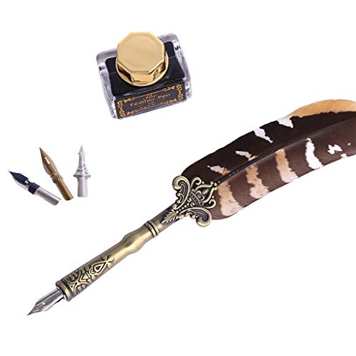 Caneta-tinteiro vintage de pena de caligrafia, caneta de escrita feita à mão para arte, escrita, ass