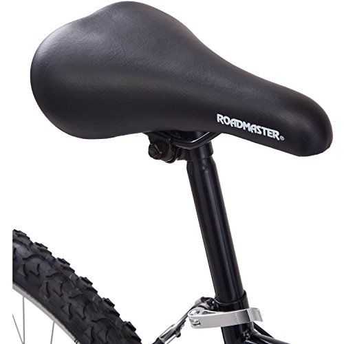 roadmaster men's bike