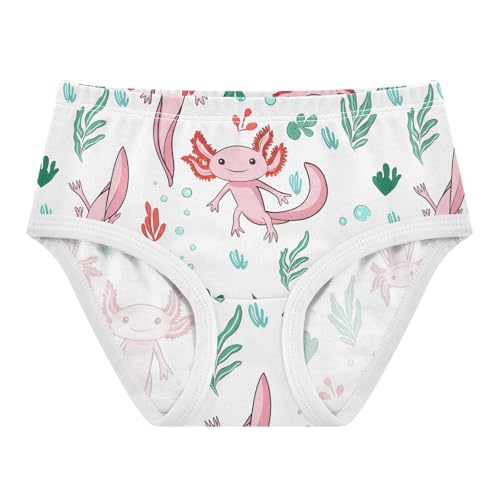 Cute Axolotls Toddler Girls's Underwear 2T 202c1271