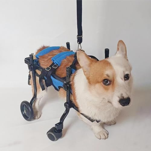 Fauteuil roulant pour chien handicapé et chat réglable à 4 roues
