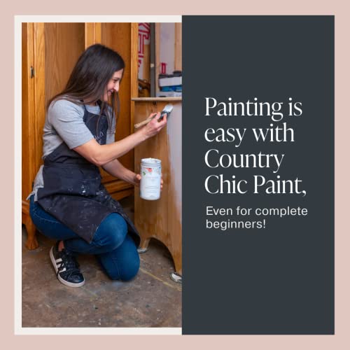 Country Chic All-in-One Chalk Paint for Furniture, Cabinets, Home Decor, Eco-Friendly, Matte Finish, Built-In Primer & Top Coat for Wood, Metal - Ooh La La (Light Pink) - Pint 16 oz (475 ml)