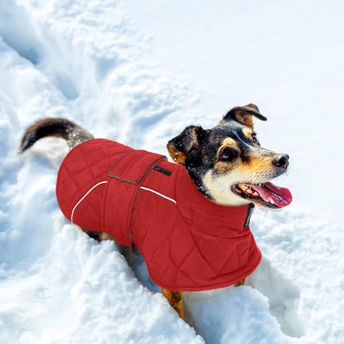 Kuoser Hundemantel Wasserdich Winterjacke für Große Hunde, Warmer Hunde Mantel mit Fleece, Reißverschluss-Leinenöffnung, 2XL Rot