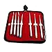 AAPROTOOLS PDL,Root Elevators Set of 7 Pieces Dental Instruments AA-DN-444 A+ Quality