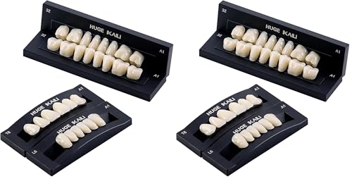 Image of JMU 28 Pcs /Set Dental Acrylic Resin Denture Teeth Shade A1 T6 Resin Synthetic False Teeth (Pack of 2)