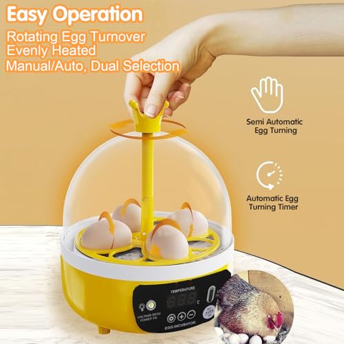 4 Eggs Mini Incubator with Transparent Lid,7W Automatic Temperature Humidity Control,Household Small Poultry Hatching Machine,for Chickens Ducks Pigeons (Auto Turning) - Thumbnail 7