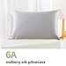 ZIMASILK 100% Mulberry Silk Pillowcase for Hair and Skin Health,Soft and Smooth,Both Sides Premium Grade 6A Silk,600 Thread Count,with Hidden Zipper,1pc (Queen 20''x30'', Gray)