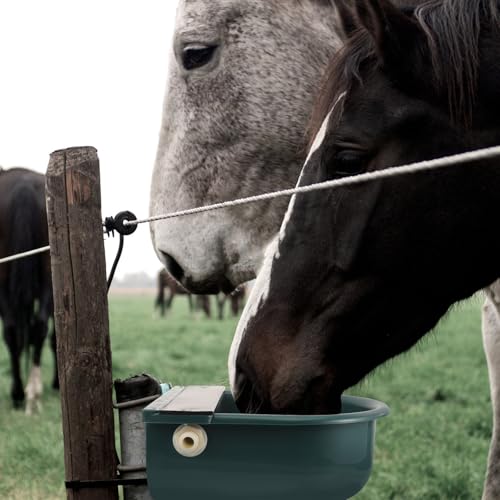 Abreuvoir automatique pour bovins avec distributeur d'eau constant - 8