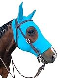 FOR WELLNESS HORSE