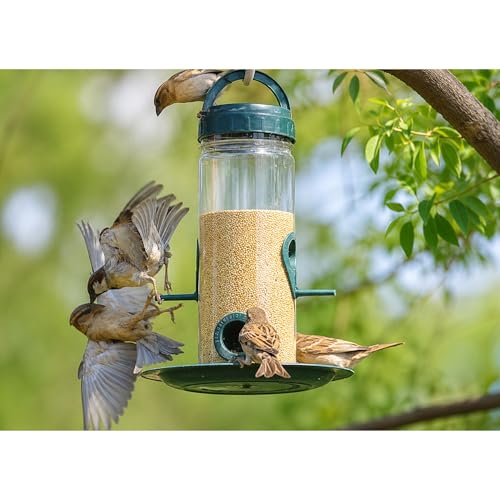 Image of Hanging Bird Feeder for Balcony & Garden 900ml Large Capacity Outdoor Food Feeder for Birds
