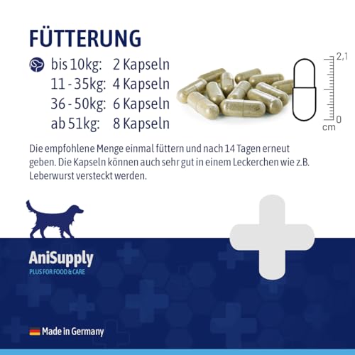 AniSupply Wurmkraut Kapseln 50 Tabletten für Hunde mit echtem Wurmkraut (Artemisia Absinthium) in rezepturbasierter Pflanzenformel, geeignet für Hunde Aller Rassen