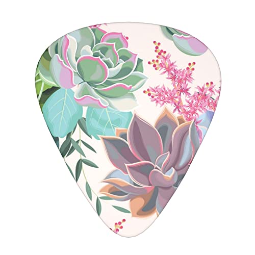 Ensemble de 12 médiators de guitare succulents colorés pour guitare acoustique, guitare électrique, contrebasse, ukulélé - Les Beatles, Paul McCartney, John Lennon, RIngo Starr, George Harrison Ensemble de 12 médiators de guitare succulents colorés pour guitare acoustique, guitare électrique, contrebasse, ukulélé
