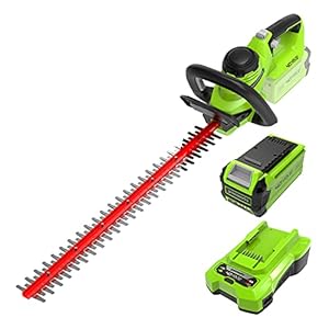 Greenworks Hedge Trimmer 40V 61cm Cutting Length Incl. Battery 2Ah and Charger 27mm Tooth Spacing Adjustable Handle G40HTK2
