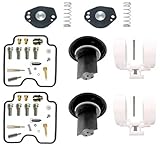 OMNHGD Motorradteile Motor Vergaser Reparatursatz Schwimmermembran Montage Für Y&amaha BT1100 BT 1100 2002-2006(Style 1)