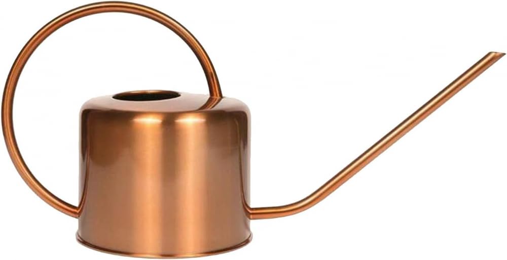 Arrosoir décoratif couleur cuivre 1,275 g – Bec verseur en col de cygne pour un arrosage rapide et facile des plantes d'intérieur