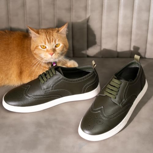 Image of Campus ELAN Men's Brogues | ELAN-27