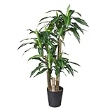HTT DECORATIONS: Auch bekannt als Kunstplantshop.nl hat sich spezialisiert auf hochwertige und autentische Kunstpflanzen und künstliche Blumen. Unsere Pflanzen und Blumen sind kaum von Echten zu unterscheiden und eignen sich für jung und alt und für jeden Raum, unabhängig von der Beleuchtung
