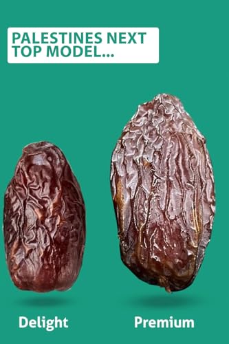 NABALI FAIRKOST FÜR ALLE NABALI FAIRKOST Medjool Datteln aus Palästina 100% Natürlich Aromatisch Traditionell Frisch Orientalisch I Ohne Konservierungsstoffe I Vegan I 1 kg (1er Pack), Large/Jumbo