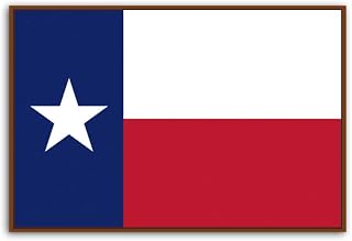Texas Flag Canvas Wall Art Print, Texas Artwork, Texas Poster