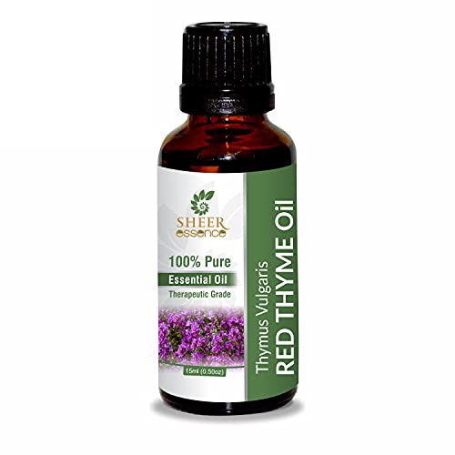 Huile de thym rouge Thymus Vulgaris idéale pour vos séances bien-être