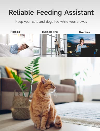Livingez 6L Smart Automatic Cat Feeder For Dry Pet Food, Timed Cat Feeder Programmable Portion Control For 4 Meals Per Day, Pet Feeder With Voice Recorder For Cats And Dogs #TOP2