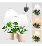 Amazon.com: Wolezek Grow Lights for Seed Starting with Stand, 2ft