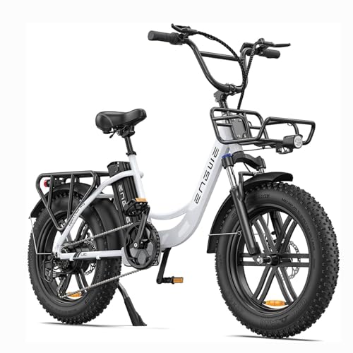 Fafrees Bicicleta eléctrica de 20 pulgadas para hombre, bicicletas eléctricas de hasta 150 km con batería de 48 V 13 Ah, bicicleta eléctrica de 25 km/h, ENGWE L20 (blanco)