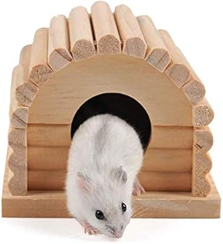 hamster house pets