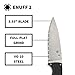 Spyderco Enuff 2 Fixed Blade Knife with 3.39