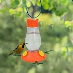 Perky-Pet 465-2 Vine Oriole Feeder - 27 oz Capacity