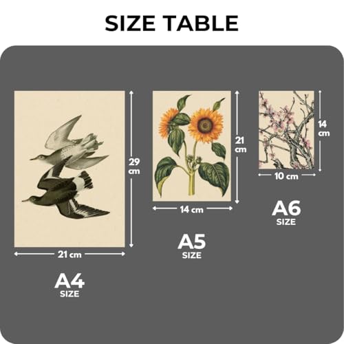 Image of Funk You Store Vintage Botanical Prints Wall Art (Set of 12) - Botanical Plant Poster, Butterfly Pictures Bird Art Sunflower Fern Prints, Flower Painting Home Bedroom Decorations (D 024)