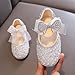 Girls Dress Shoes Mary Jane Princess Shoes Soft and Leather Flats Bow Kid Shoes for Party Wedding Silver