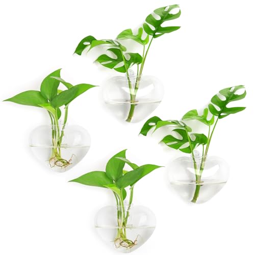 XXXFLOWER Wall Hanging Glass Terrariums，Clear Planters Propagation Station Glass Flower