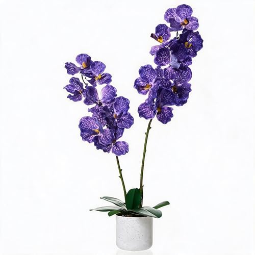 Aptliton Orchidée Vanda artificielle - 80 cm - Violet - PEVA - Polyester - Décoration - Pour salon, bureau, mariage - Cadeau de mariage
