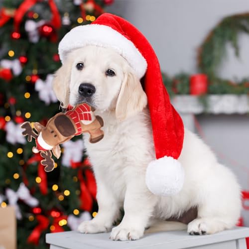 Jouets couineurs pour chiots - Solution contre l'ennui et le mordillement - 8