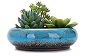 VanEnjoy 7.3 inch Round Large Shallow Succulent Ceramic Glazed Planter Pots with Drainage Hole, Bonsai Pots Garden Decorative Cactus Stand Flower Container