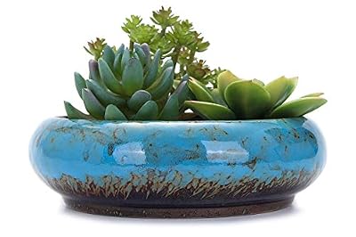 VanEnjoy 7.3 inch Round Large Shallow Succulent Ceramic Glazed Planter Pots with Drainage Hole, Bonsai Pots Garden Decorative Cactus Stand Flower Container