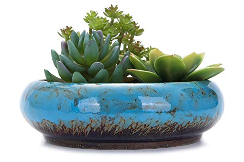 VanEnjoy Macetas Redondas Grandes de cerámica esmaltada para suculentas de 7.3 Pulgadas con Agujero de Drenaje, macetas de bonsái Decorativas para jardín, Soporte de Cactus (Azul)